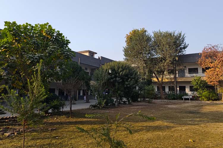 DEPARTMENT OF ECONOMICS